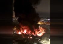 Версия поджога в строительном гипермаркете OBI в торговом комплексе "Мега Химки" не подтверждается, передает РИА Новости со ссылкой на источник
