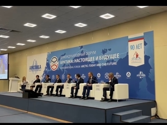 Минвостокразвития выделит 4,2 миллиарда на энергоснабжение берега Кольского залива