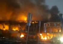 Во Всероссийском союзе страховщиков сообщили, что потенциальный ущерб от пожара в гипермаркете OBI в торговом центре "Мега Химки" может достичь 20-30 млрд рублей