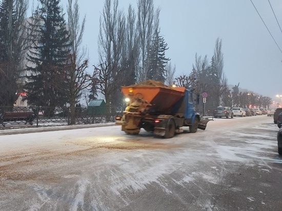 Городские службы Тамбова всю ночь очищали дороги и тротуары от снега