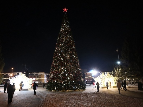 Стала известна дата открытия главной городской елки в Омске