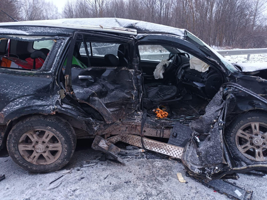 Два человека пострадали в ДТП в Путятинском районе Рязанской области