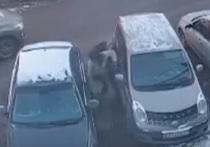 В минувший вторник, днём 6 декабря, на улице Клары Цеткин города Тулы подрались два человека - пешеход и автоледи