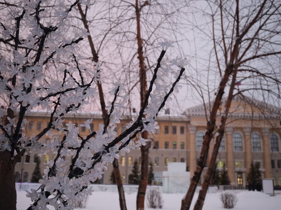 Умеренный мороз и порывы ветра: прогноз погоды в Томской области на 10 декабря