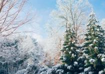 В Красноярске 10 декабря ожидается переменная облачность, днем небольшой снег, ночью без осадков, сообщает погоду Среднесибирское УГМС