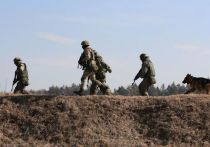 Журналисты WarGonzo сообщили об активизации боев под Лисичанском в Донбассе