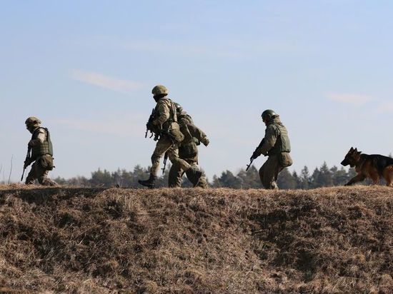 WarGonzo сообщил об активизации боевых действий под Лисичанском