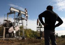 Конкретные шаги по ответу за максимальную стоимость барреля нефти Россия озвучит в ближайшие дни