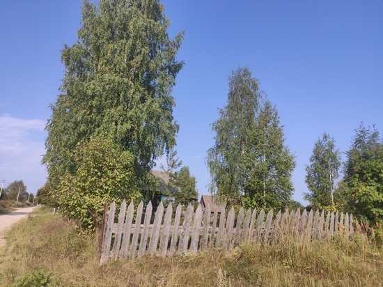 Хозяйка дачи в Грязовецком районе «наказала» ножом сожителя, запустившего огород