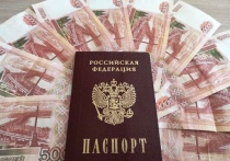Житель Читы похитил у одного из банков 500 тысяч рублей, оформив заем на подложный паспорт