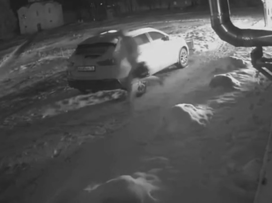 В Переславле опубликовали видео с поджигателями кафе депутата Хабибулина