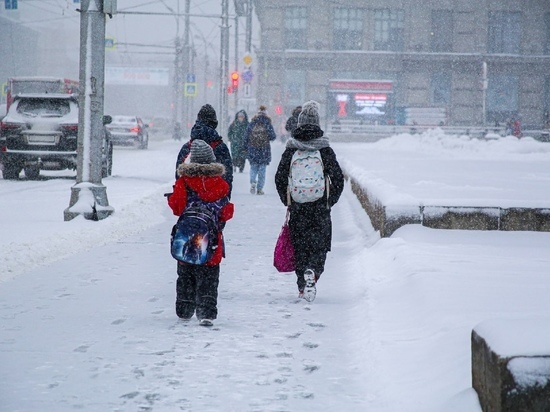 В Бердске проверят родителей гулявшего в одиночестве на морозе 4-летнего ребенка