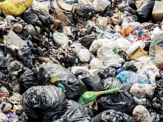 В Притамбовье ликвидировали несанкционированную свалку мусора