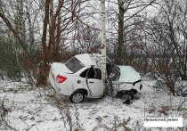 9 декабря на дорогах Марий Эл произошло три ДТП с пострадавшими: пешеход погибла, водитель и пассажир травмированы.