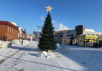 На праздничной площадке в районе пешеходной зоны на улице Мало-Тобольской установили новогоднюю ель, сообщает пресс-центр барнаульской мэрии.