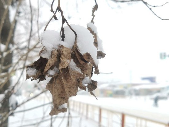 В Приморье температура воздуха опустится до -40 градусов до Нового года