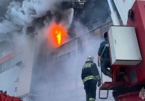 Барнаульский шинный завод могут закрыть на полгода из-за крупного пожара