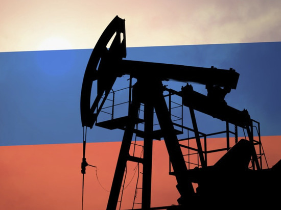 Эксперты оценили последствия введения потолка цен на сырье из России