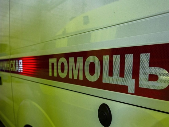 Глава СК Бастрыкин взял на контроль проверку после смерти 3-месячной девочки в Новосибирской области