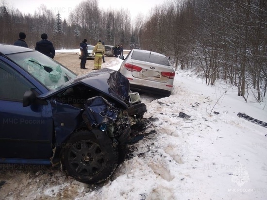 Спасателям пришлось доставать пострадавшего из разбитого авто на трассе в Боровичском районе