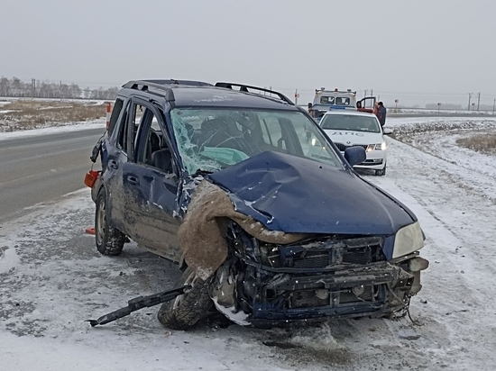 Двое детей и двое взрослых пострадали в ДТП под Омском