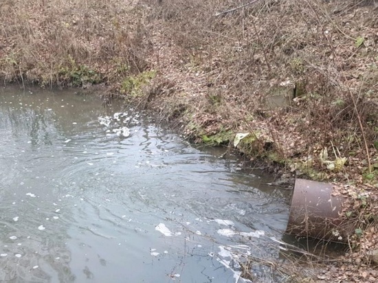 Остановить загрязнение реки в Зарайске потребовали экологи