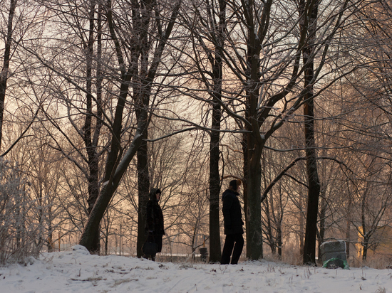 Морозы до -9 градусов ожидаются в Новгородской области 11 декабря