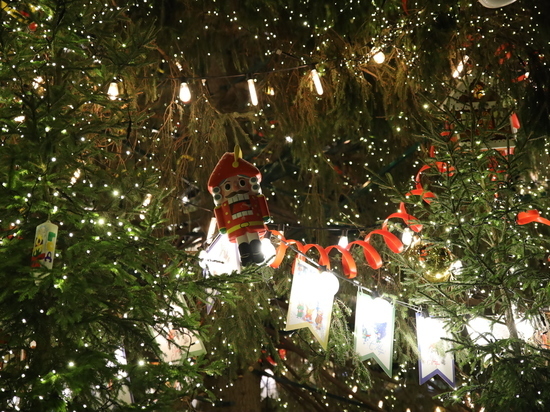 Новогодняя ель украсила площадь Победы в Холме