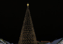 Стало известно, когда загорится главная новогодняя елка Белгородской области: Дед Мороз зажжет ее на Соборной площади 17 декабря