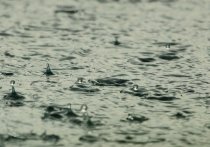 Ведущий специалист центра погоды "Фобос" Евгений Тишковец сообщил, что в понедельник в российской столице ожидается тропический дождь