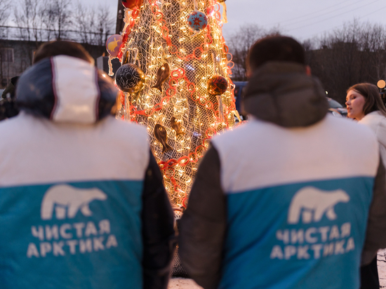 В Мурманске установили новогоднюю эко-ель из собранного в Заполярье мусора