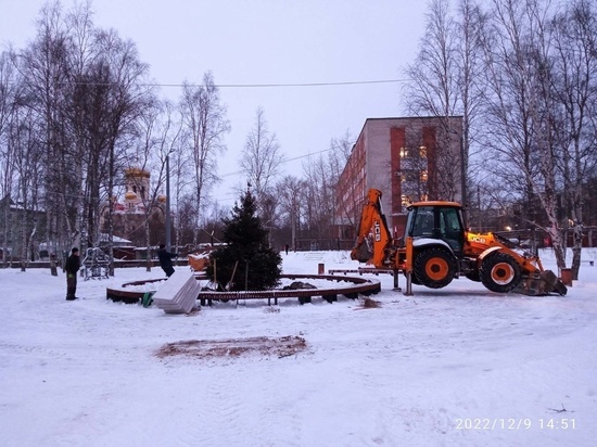 В сквере на окраине Архангельске появилась живая ель