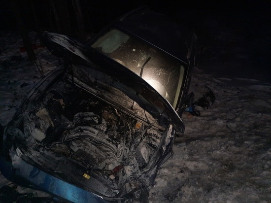 После вылета Subaru в кювет в Мурманской области пострадали два человека