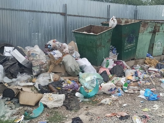 В Орле думают установить камеры наблюдения за мусорными контейнерами