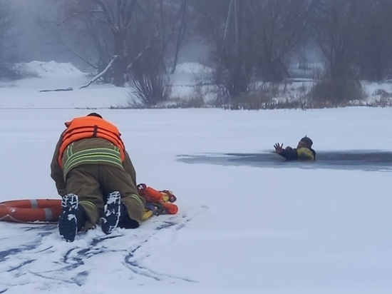 Мужчину, провалившегося под лед, спасли в Орехово-Зуевском горокруге