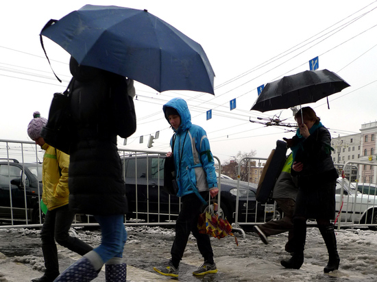 Синоптики рассказали про тропический ливень, который накроет Москву в понедельник