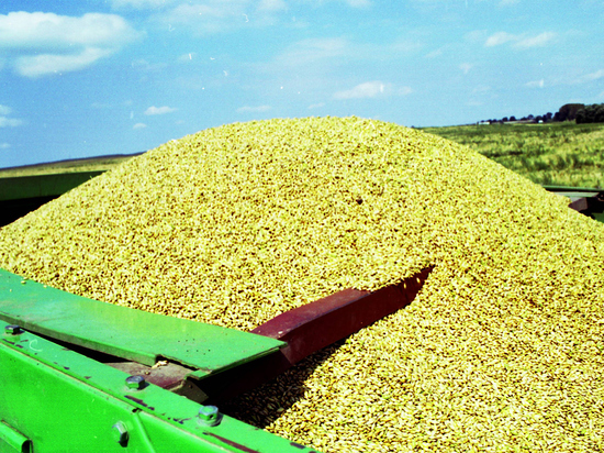 Эксперты оценили плюсы и минусы продления соглашения о вывозе зерна с Украины