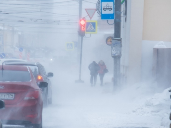 Синоптики озвучили прогноз погоды в Челябинской области на 12 декабря