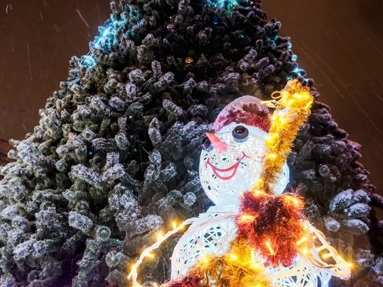 Только 4% жителей Волгоградской области не любят Новый год