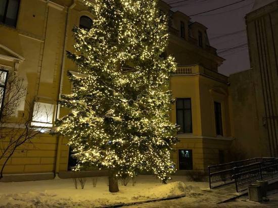 Как правильно украсить новогоднюю елку: советы экстрасенса Татьяны Лариной