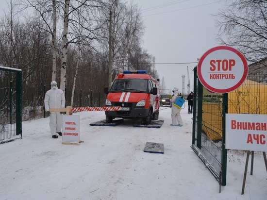 В Архангельске прошли учения по ликвидации условного очага африканской чумы свиней