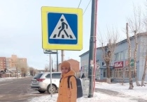 Жители поселка Березовка раскритиковали картонные фигуры детей, которые установили вдоль дорог