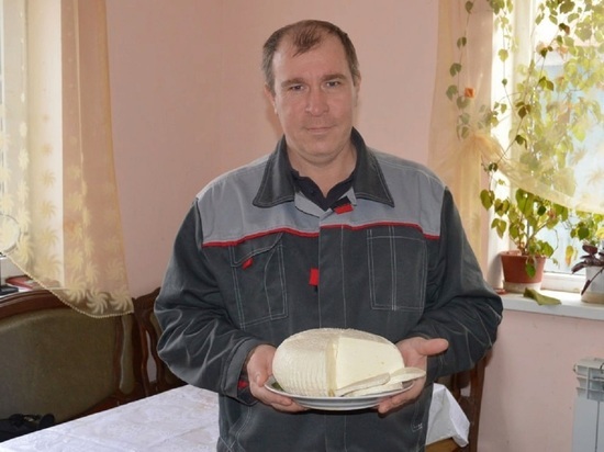 Житель Белгородской области заключил соцконтракт и начал изготавливать сыр на продажу