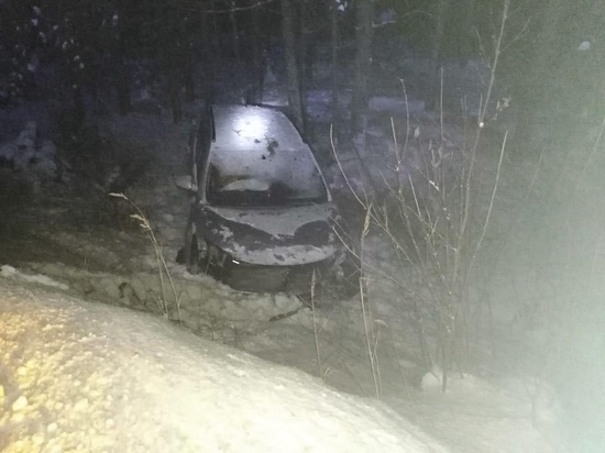 В Тверской области Hyundai вылетел в кювет: водитель был госпитализирован