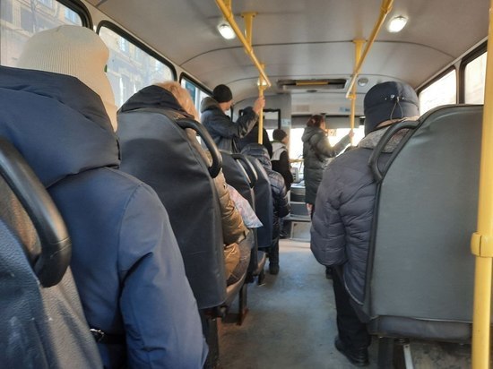 Жительница Ленобласти пожаловалась на нехватку маршруток между Тосненским районом и Петербургом
