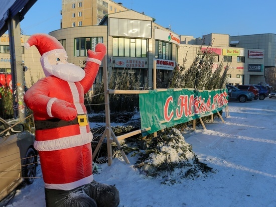 В Омскую область ввезли новогодние деревья из карантинных регионов