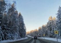 По данным Тульского гидрометцентра, на территории региона 13 декабря ожидается ухудшение погодных условий