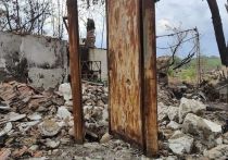 В распоряжение российских военкоров попала сводная таблица потерь среди офицеров Незалежной