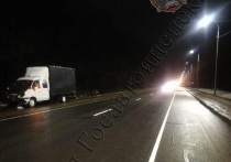 Накануне, вечером 11 декабря, на 205-ом километре автодороги М-2 "Крым" Щёкинского района Тульской области, 48-летний мужчина за рулём внедорожника марки "Lada 4X4" выехал на встречную полосу и врезался в "КАМАЗ" с прицепом "85310В"