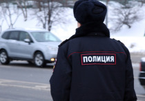 Неожиданную находку обнаружили полицейские, прибывшие 10 декабря по вызову на улицу Бутырская, где прохожие обнаружили тело 70-летнего пенсионера